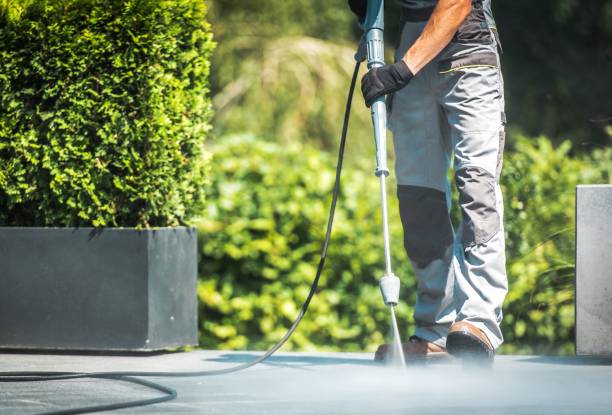 Best Sidewalk and Walkway Cleaning  in Perryton, TX